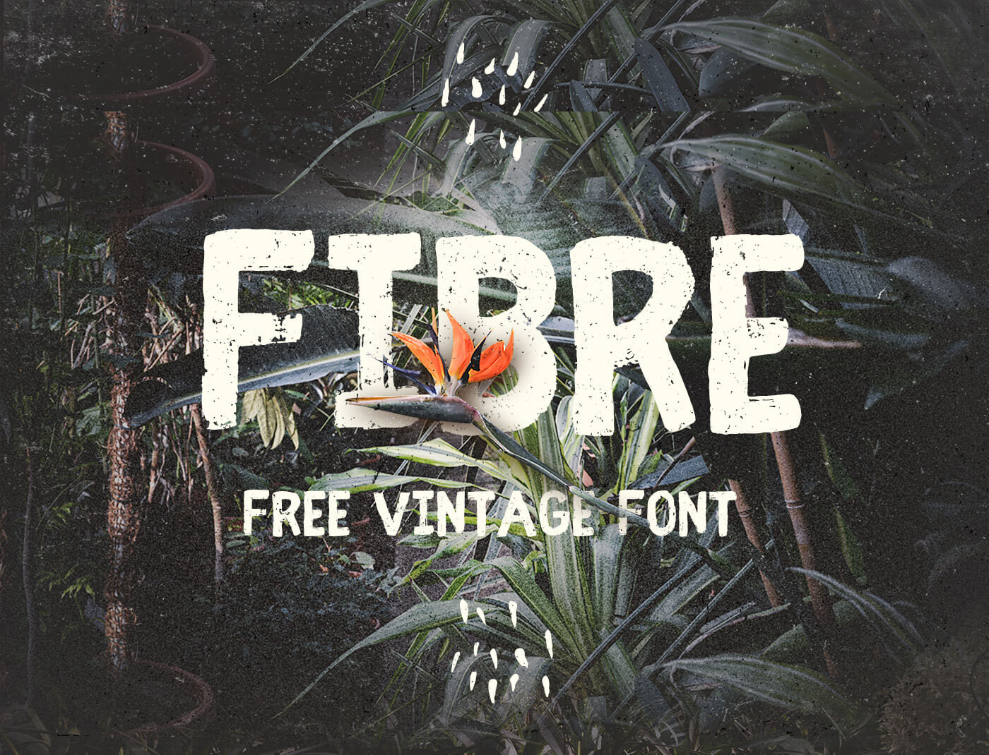 Fibre Free Vintage Font