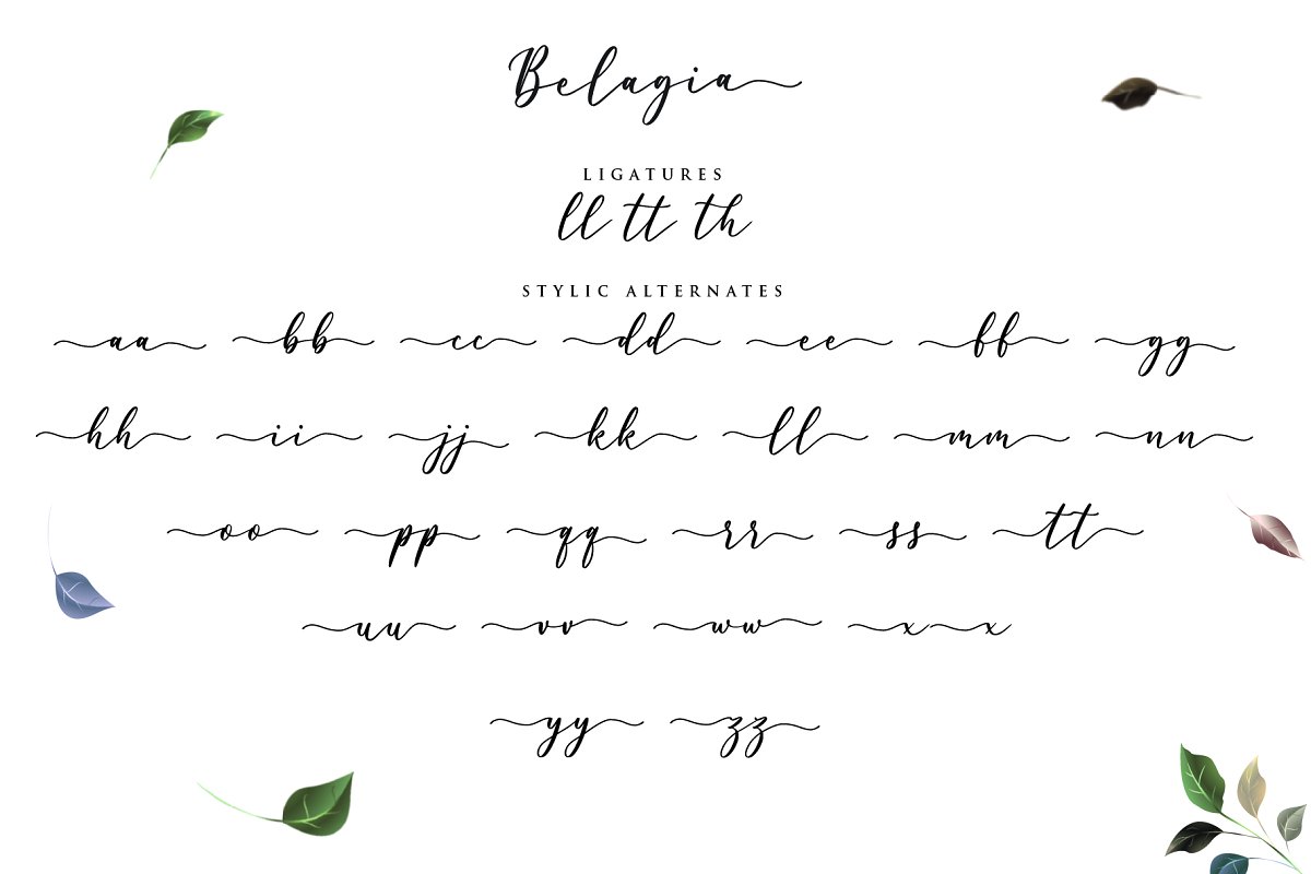 Belagia Free Font - script