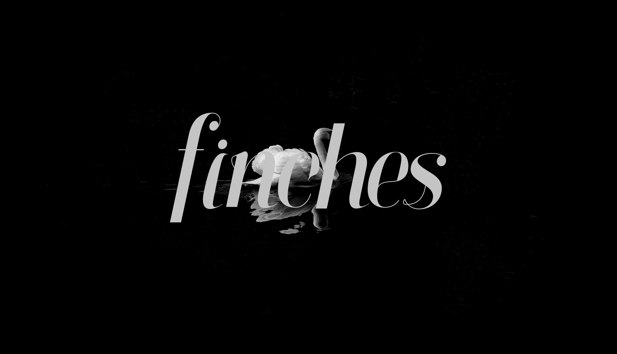 Finches Free Font - serif