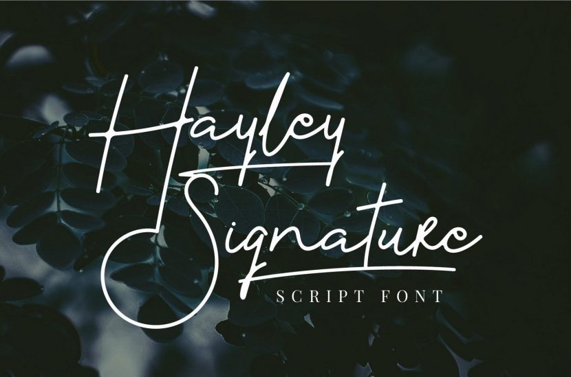 Free Quick An Elegant Sans Serif Script Fonts