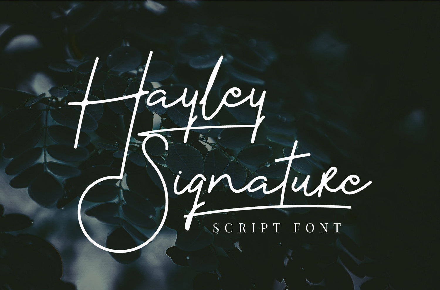 Hayley Free Signature Script Font - script