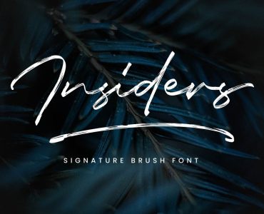INSIDERS Free Font - script