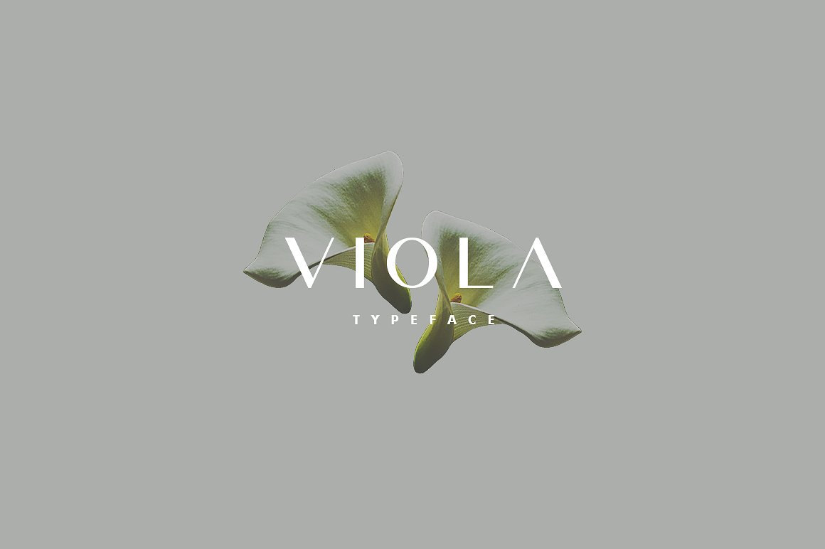 Viola Free Font - sans-serif