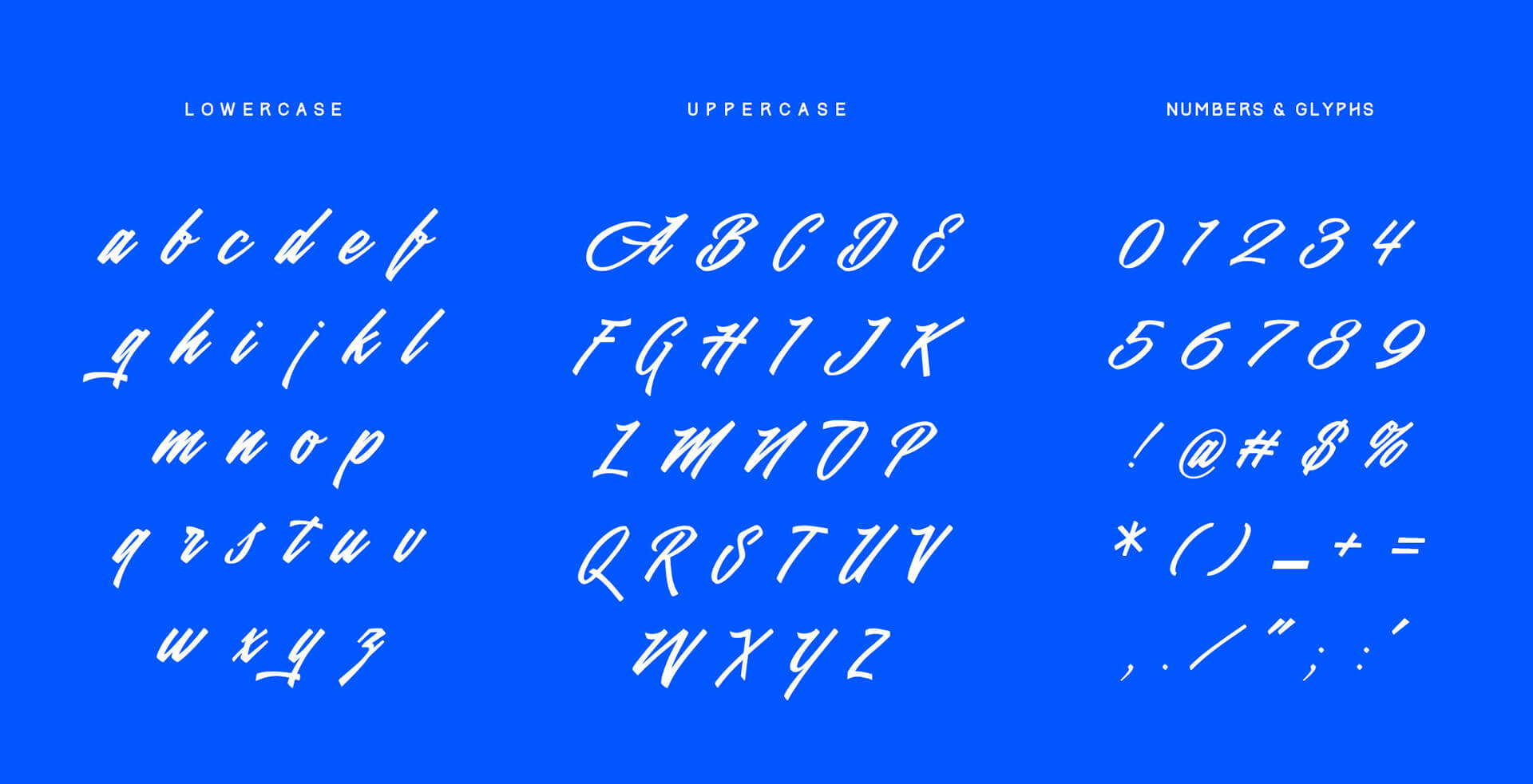 Valencia Calligraphy Typeface - script