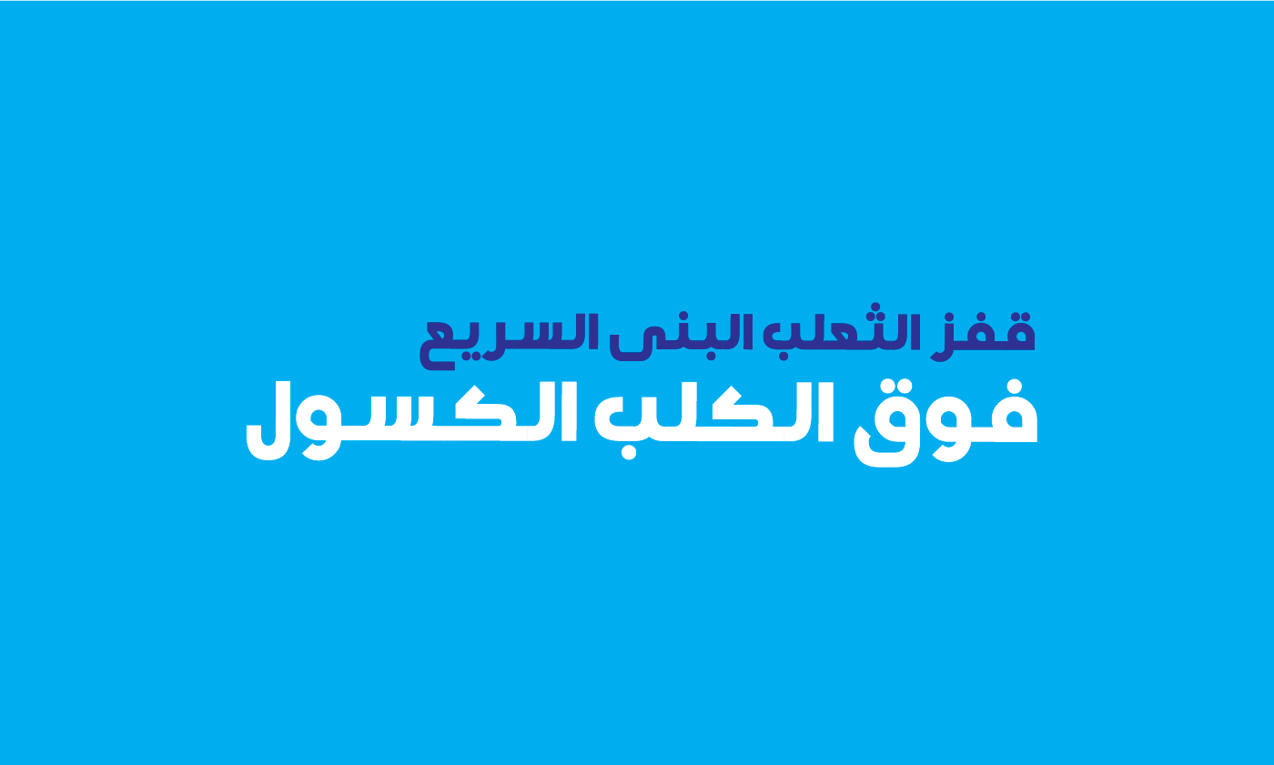 BlueOcean Free Arabic Typeface - arabic
