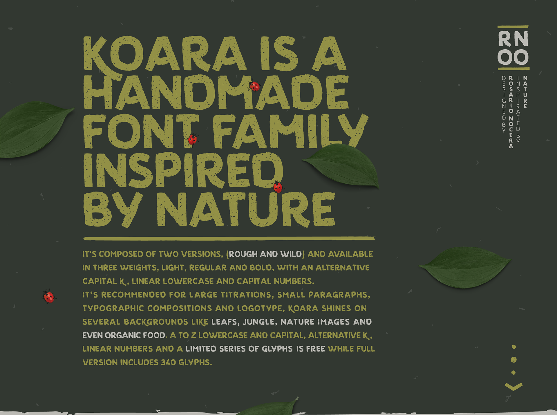 Koara Font Family - script